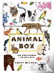 Princeton Architectural Press - Animal Box Postcards