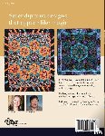 Nephew, Sara, Baker, Marci - Stack & Cut Hexagon Quilts
