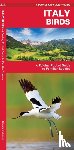 Kavanagh, James, Waterford Press, Waterford Press - Italy Birds