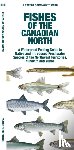 Waterford Press, Waterford Press, Morris, Matthew - Fishes of the Canadian North