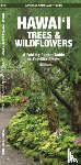 Kavanagh, J M - Hawai'i Trees & Wildflowers, 2nd Ed