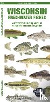 Morris, Matthew - Wisconsin Freshwater Fishes