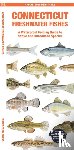 Morris, Matthew - Connecticut Freshwater Fishes