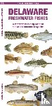 Morris, Matthew - Delaware Freshwater Fishes