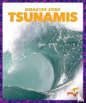 Meister, Cari - Tsunamis