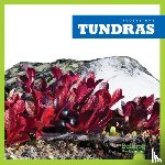 Higgins, Nadia - Tundras