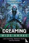Brown, David Jay - Dreaming Wide Awake