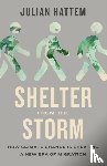 Hattem, Julian - Shelter from the Storm