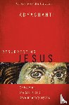 Adyashanti - Resurrecting Jesus