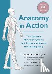 Jr., Theodore Dimon - Anatomy in Action