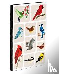 Howard, Allyn - Sweet Creatures Small Bullet Journal