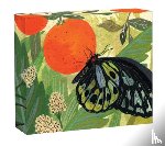 Stadtlander, Becca - Butterflies QuickNotes