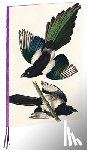 Audubon, John James - Magpies, James Audubon A4 Notebook