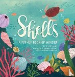 Lawler, Janet - Shells