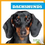 Duling, Kaitlyn - Dachshunds