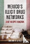 Jones, Nathan P. - Mexico's Illicit Drug Networks and the State Reaction