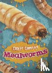 Schuetz, Kari - Mealworms