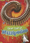 Schuetz, Kari - Millipedes