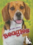 Schuh, Mari - Beagles