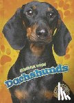 Schuh, Mari - Dachshunds