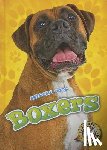 Schuh, Mari - Boxers