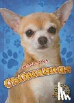 Schuh, Mari - Chihuahuas