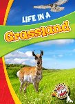 Waxman, Laura Hamilton - Life in a Grassland