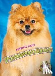 Brown, Domini - Pomeranians