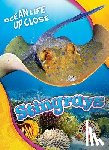 Pettiford, Rebecca - Stingrays