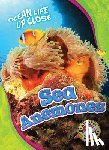 Schuh, Mari - Sea Anemones