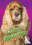 Sommer, Nathan - Cocker Spaniels