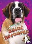 Sommer, Nathan - Saint Bernards