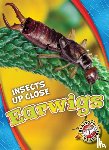 Perish, Patrick - Earwigs
