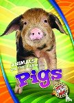 Leighton, Christina - Pigs