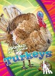 Schuetz, Kari - Turkeys
