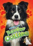 Sabelko, Rebecca - Border Collies