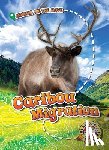 Schuetz, Kari - Caribou Migration