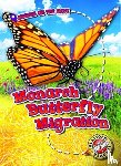 Schuetz, Kari - Monarch Butterfly Migration