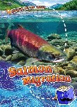 Schuetz, Kari - Salmon Migration