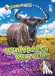 Schuetz, Kari - Wildebeest Migration