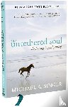 Singer, Michael A. - The Untethered Soul