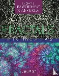 Briggs, MR John - Fractals