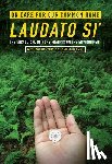 Pope Francis, Sean McDonagh - On Care for Our Common Home, Laudato Si'