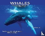 Hale, Shannon - Whales, Library Edition Hardcover