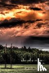 Williams, John Sibley - Disinheritance