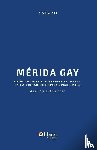 Pasos Tzec, German - Merida Gay. Cronica de Los Movimientos Lgbttt En La Ciudad de Merida (1960-2014)