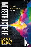 Healy, Blake K - Indestructible