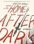 Small, David - Home After Dark
