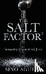 Agueze, Sino - The Salt Factor ²: Seasoning the world with Jesus