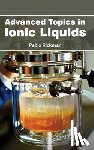  - Advanced Topics in Ionic Liquids